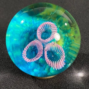 Coral Reef Hider Marble - 2.25 inches - Pink, Green, Blue - Handmade Glass Art by John Gibbons barnacle marble paperweight