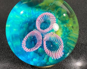 Coral Reef Hider Marble - 2.25 inches - Pink, Green, Blue - Handmade Glass Art by John Gibbons barnacle marble paperweight