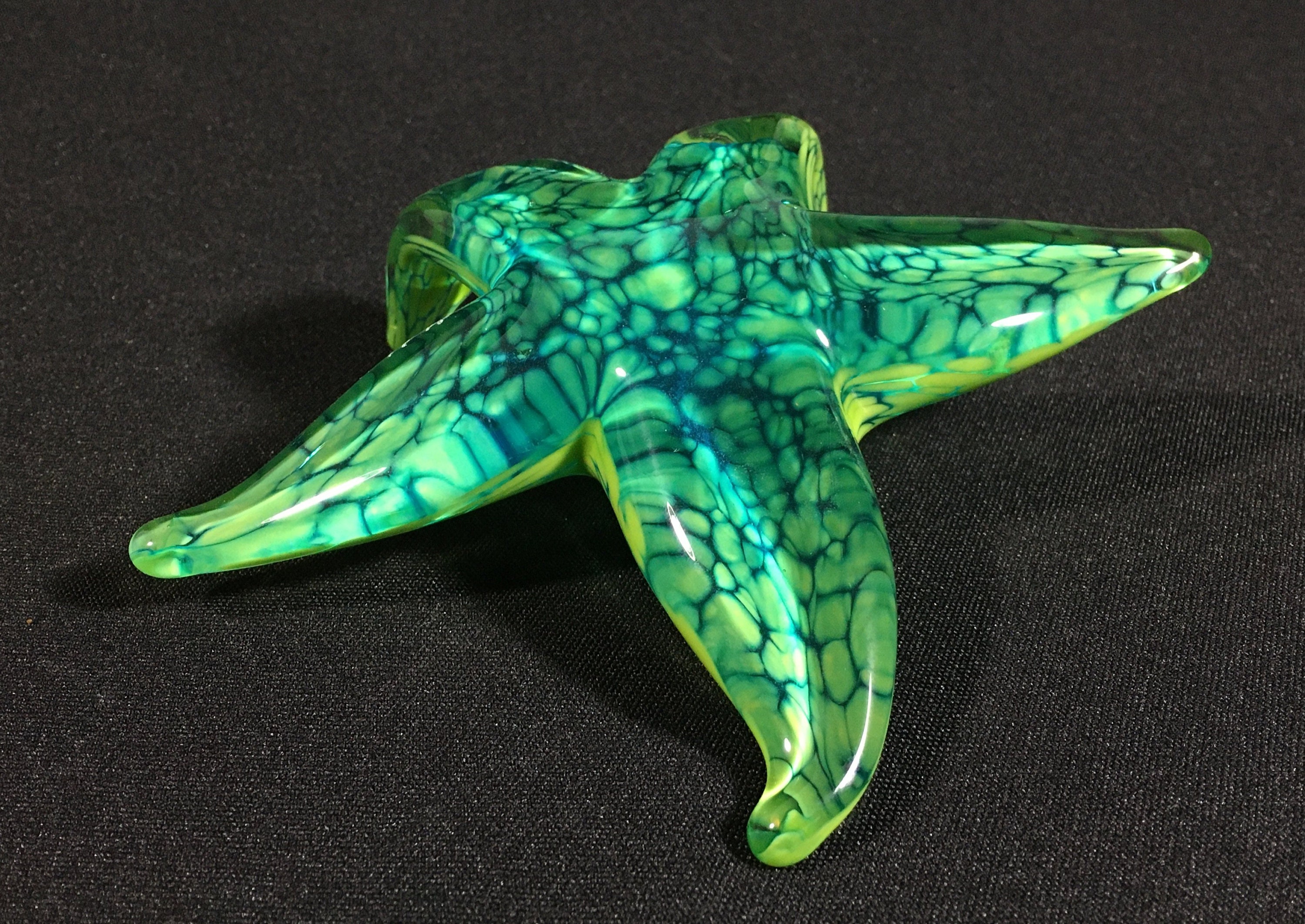 Hand Blown Glass Starfish - Tropical Paradise Starfish - 5.5 inch -  Handmade Glass Art by John Gibbons