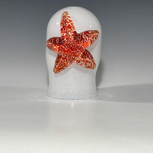 Puede incluir: Tapón de botella de vidrio blanco con un diseño de estrella de mar roja y naranja.
