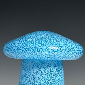 Aqua Glass Mushroom Jar by Glass Artist John Gibbons image 5