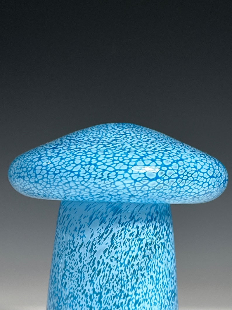 Aqua Glass Mushroom Jar by Glass Artist John Gibbons image 5