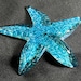 see more listings in the Starfish section