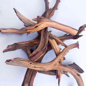 Manzanita Wood Branch | Terrarium & Vivarium Hardscape, Aquascaping, Driftwood