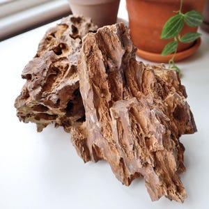 Dragon Stone (Ohko Stone) | Terrarium & Vivarium Hardscape, Aquascaping Rock