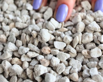 Pumice Rocks (Coarse Grade) | Horticultural Soil Amendment
