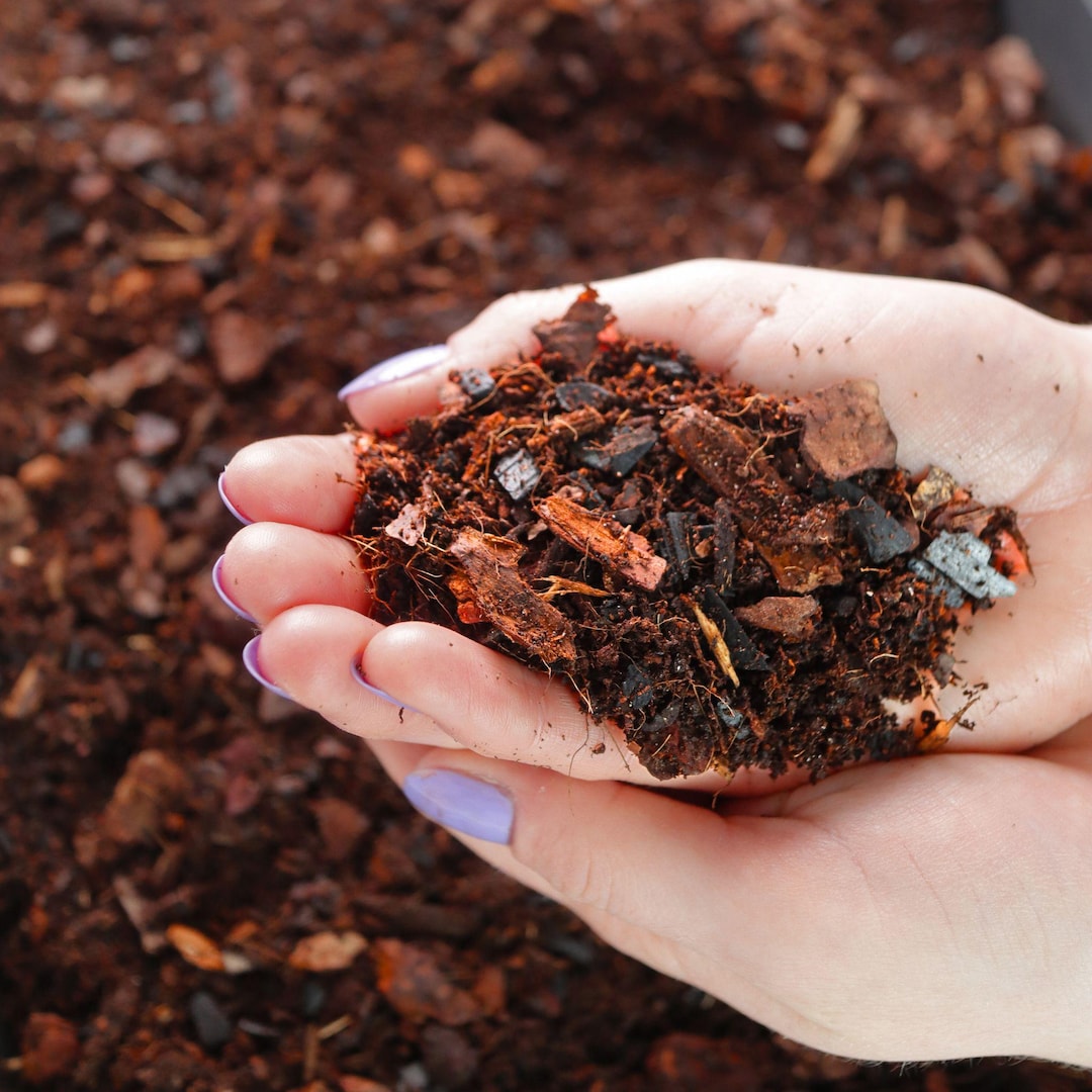 how did tobacco start History of Tobacco how did tobacco start History of Tobacco