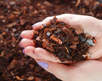 Terrarium Soil & Substrate Mix | Premium Blend for Closed + Bioactive Terrariums