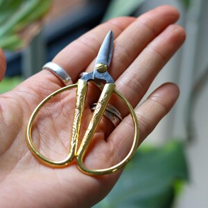 May include: A pair of small, gold-colored scissors with a silver blade. The handles have a decorative etched design. The scissors are designed for crafting or gardening. The scissors are approximately 4 inches long.