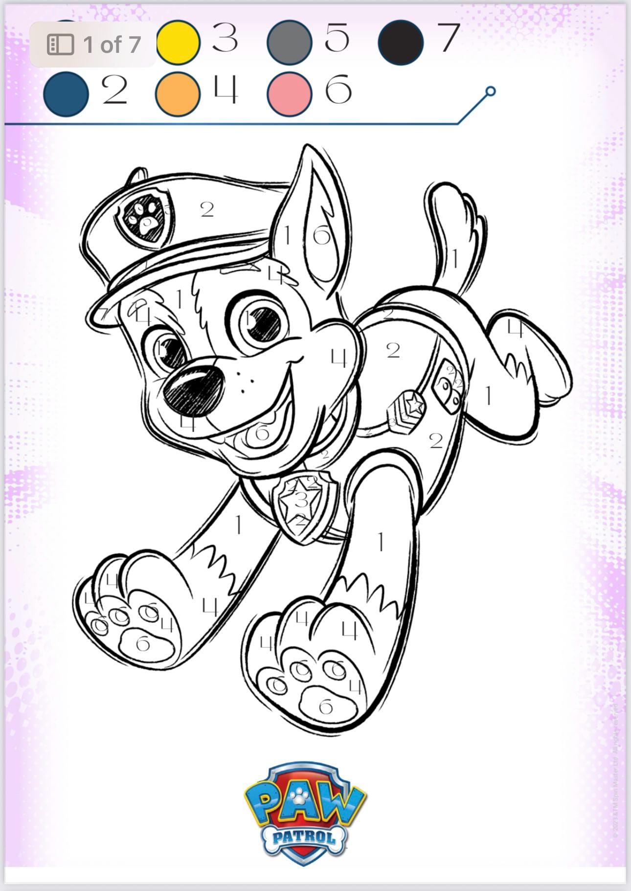Crayola Color Wonder Paw Patrol Coloring Set, image size:1290x1821