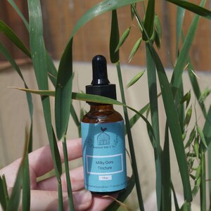 Milky Oats Tincture: Tincture Extract, Herbs, Oat Tops, Nervous System Tonic, Nervous System Support, Fresh Milky Oats, Homegrown