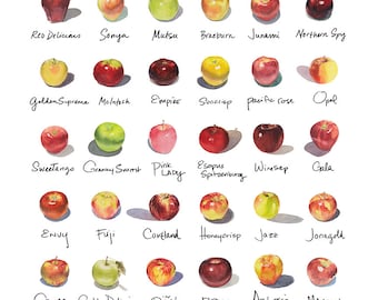 20"x20" Apple-a-Day Compilation Watercolor Print