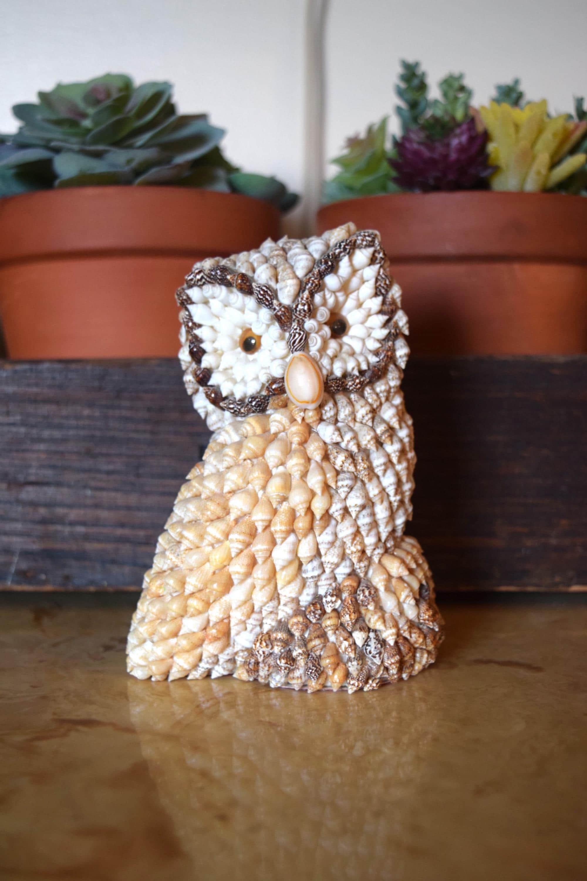 1970s Seashell Owl 5.5 Inches Tall