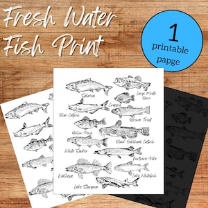 May include: A black and white print showcasing illustrations of freshwater fish such as salmon, bass, and catfish. The print is titled "Fresh Water Fish Print" and includes the text "1 printable page". Each fish is identified by its common name.