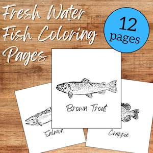 Fresh Water Fish Coloring Pages