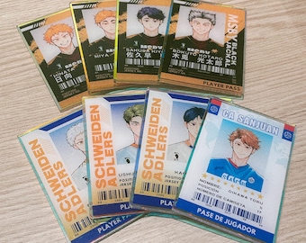 HQ volleyball boy Player Pass