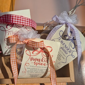 Op de afbeelding: Drie kleine cadeauzakjes met botanische sudderpotmixen, elk met een label voor Mulled Cider, Pumpkin Spice of Lavender Fields. De zakjes zijn gestrikt met rood, oranje en lichtpaars gingham lint en gepresenteerd in een kartonnen doos.