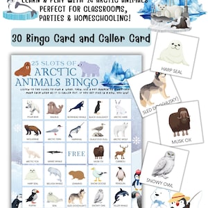 Może przedstawiać: Gra w bingo z zwierzętami arktycznymi z 24 zwierzętami arktycznymi. Zawiera 30 kart bingo i kartę wywoławczą. Zawiera ilustracje niedźwiedzi polarnych, fok i innych arktycznych zwierząt. Idealna do klas, na imprezy i do nauki w domu.