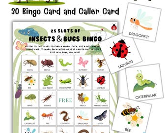 Insects and Bugs Bingo Game: Spring Classroom Activity (Printable PDF Download