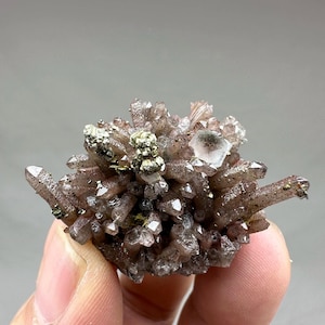 May include: A cluster of dark, brownish-purple quartz crystals featuring small, metallic gold-coloured pyrite inclusions. The mineral specimen displays numerous pointed, translucent crystal terminations radiating outward from a central point.