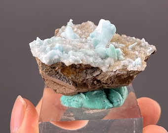 インド、ヒマーチャル・プラデーシュ州産の無色ヒマラヤ水晶クラスター