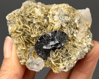 Cassiterite Cluster with Mica and Aquamarine | Xuebaoding Sichuan China | Mineral Specimen