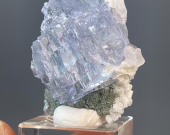 Blue Purple Phantom Fluorite Yao Gang Xian Floral Crystal Formation High Clarity Collectible
