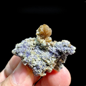 Könnte beinhalten: Ein rohes Mineralexemplar mit einer Ansammlung kleiner, tiefvioletter Kristalle, die in eine helle, texturierte Matrix eingebettet sind, gekrönt von einer einzelnen, markanten, abgerundeten beigefarbenen Kristallformation vor schwarzem Hintergrund.