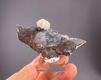 White Gypsum Flower Rosette — Guizhou, China, 7.9 cm, 75 g Mineral Specimen
