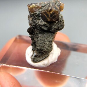 May include: A raw mineral specimen featuring a dark, textured, greyish-green matrix base with a prominent, translucent, brownish-amber crystal formation protruding from the top, mounted on a small white adhesive base.