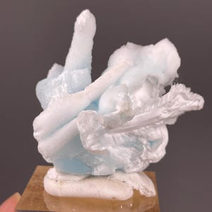 Puede incluir: Un espécimen mineral en bruto que presenta un grupo de formaciones cristalinas de color azul pálido y blanco opaco. La estructura muestra protuberancias puntiagudas y dentadas con superficies fibrosas y texturizadas, montado sobre una base cuadrada de acrílico transparente.