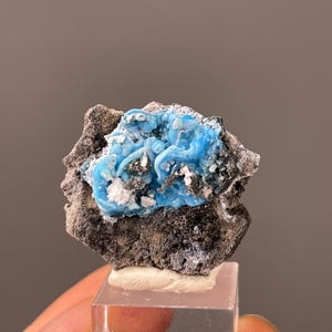 Puede incluir: Un espécimen mineral que presenta un grupo de formaciones botrioidales de color azul cielo vibrante sobre una matriz oscura, rugosa y de color marrón grisáceo. El espécimen está montado sobre una base cuadrada de acrílico transparente.