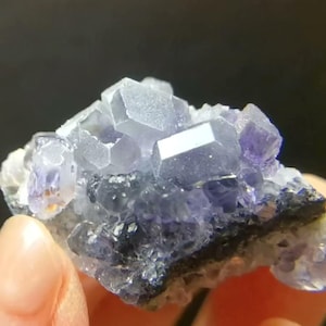 May include: A cluster of translucent purple fluorite crystals featuring cubic formations with sharp edges and smooth, reflective surfaces. The mineral specimen displays varying shades of violet and deep indigo, with a dark, solid base layer.