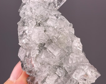 Pode incluir: Um espécime mineral de fluorita cristalina transparente. A fluorita apresenta uma estrutura em forma de cubo com uma aparência translúcida. O mineral tem uma matriz cinza claro e é segurado por uma mão contra um fundo cinza.