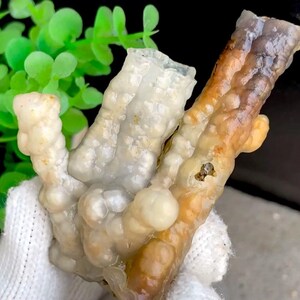 Puede incluir: Un espécimen de calcedonia botrioidal en bruto que presenta múltiples formaciones alargadas en forma de tubo con un brillo ceroso y translúcido. El mineral muestra un degradado de colores que va del blanco roto y crema al ámbar y tonos anaranjados.
