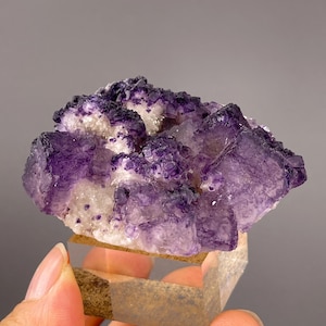 May include: A cluster of deep purple fluorite crystals with translucent, cubic formations and white mineral inclusions. The mineral specimen is mounted on a clear, square acrylic base, showcasing a jagged, natural texture with varying shades of violet.