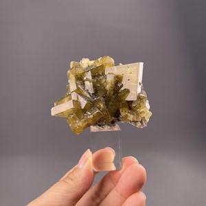Può includere: Un esemplare di minerale con un gruppo di cristalli giallo-verdi, montato su un supporto rettangolare trasparente. I cristalli presentano una forma geometrica con diverse tonalità di giallo e verde. Lo sfondo è grigio uniforme.