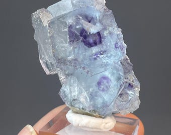 Blue Purple Phantom Fluorite with Pyrite Yao Gang Xian Rare Multi Mineral Collector Piece