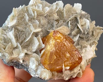 Scheelite Yellow Crystal on Mica Matrix | Xuebaoding Sichuan China | Mineral Specimen