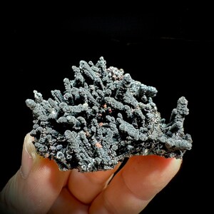 Puede incluir: Un espécimen mineral metálico de color gris oscuro con una estructura ramificada similar al coral. La superficie está cubierta de diminutas formaciones botrioidales granulares con sutiles toques de oxidación marrón rojiza en las grietas.