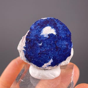 Puede incluir: Un vibrante espécimen mineral de azurita azul con una inclusión blanca, montado sobre una base acrílica transparente. La azurita muestra un color azul intenso y una superficie texturizada. Esta formación mineral natural exhibe sus características geológicas únicas.
