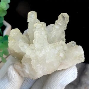 Pale Yellow Dogtooth Calcite, Translucent Scalenohedral Calcite Mineral Specimen