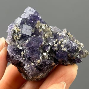 以下が含まれることがあります： 立方体状の紫色の蛍石の結晶の塊。結晶は灰色と白の鉱物のマトリックスに埋め込まれています。