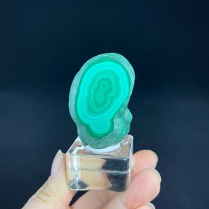 Congo Malachite Specimen: Polished & Natural &quot;Eye&quot; Stone