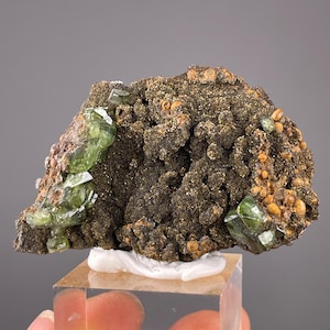 May include: A dark brown mineral specimen with clusters of small, round, orange-brown crystals. Several vibrant green, crystalline structures are embedded within the matrix. The mineral sits on a clear, rectangular display stand.