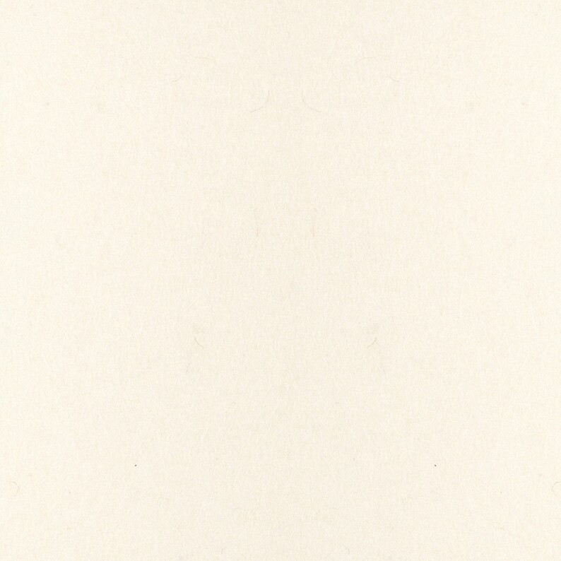 SAE F1 Grade Natural White High Density Industrial Wool Felt Stripping with Adhesive