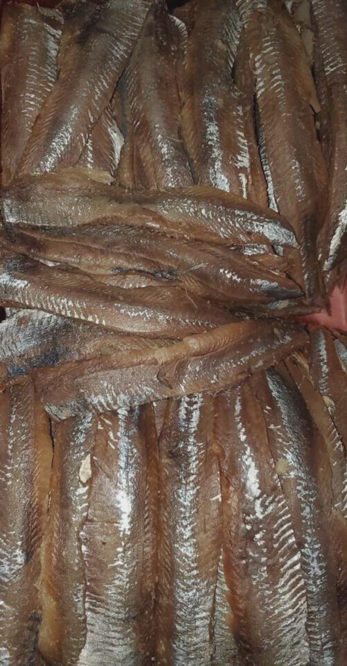 2lb =32oz Salted SMOKED HERRING FILLET Free Shippingfor !!us Seller ...