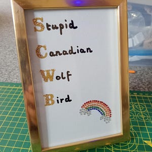 Op de afbeelding: Een goudkleurige rechthoekige lijst met een witte inlegvel met de zwarte tekst "Stupid", "Canadian", "Wolf" en "Bird". De eerste letter van elk woord is versierd met goudglitter en eronder bevindt zich een kleine regenboog van kleurrijke strass-steentjes.