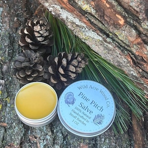 pine pitch salve | organic pine pitch | pine sap salve | Herbal salve | pine tar salve | conifer pine tree |