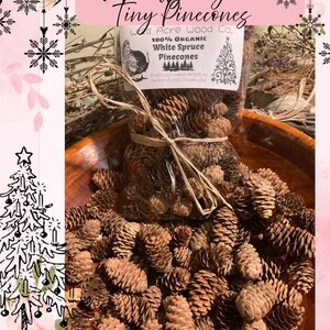 May include: A clear plastic bag filled with small brown white spruce pinecones, tied with a tan raffia bow. The label reads Naturally Organic Tiny Pinecones, 100% Organic White Spruce Pinecones, and Mindfully Hand-Picked In Raymond Wisconsin USA.